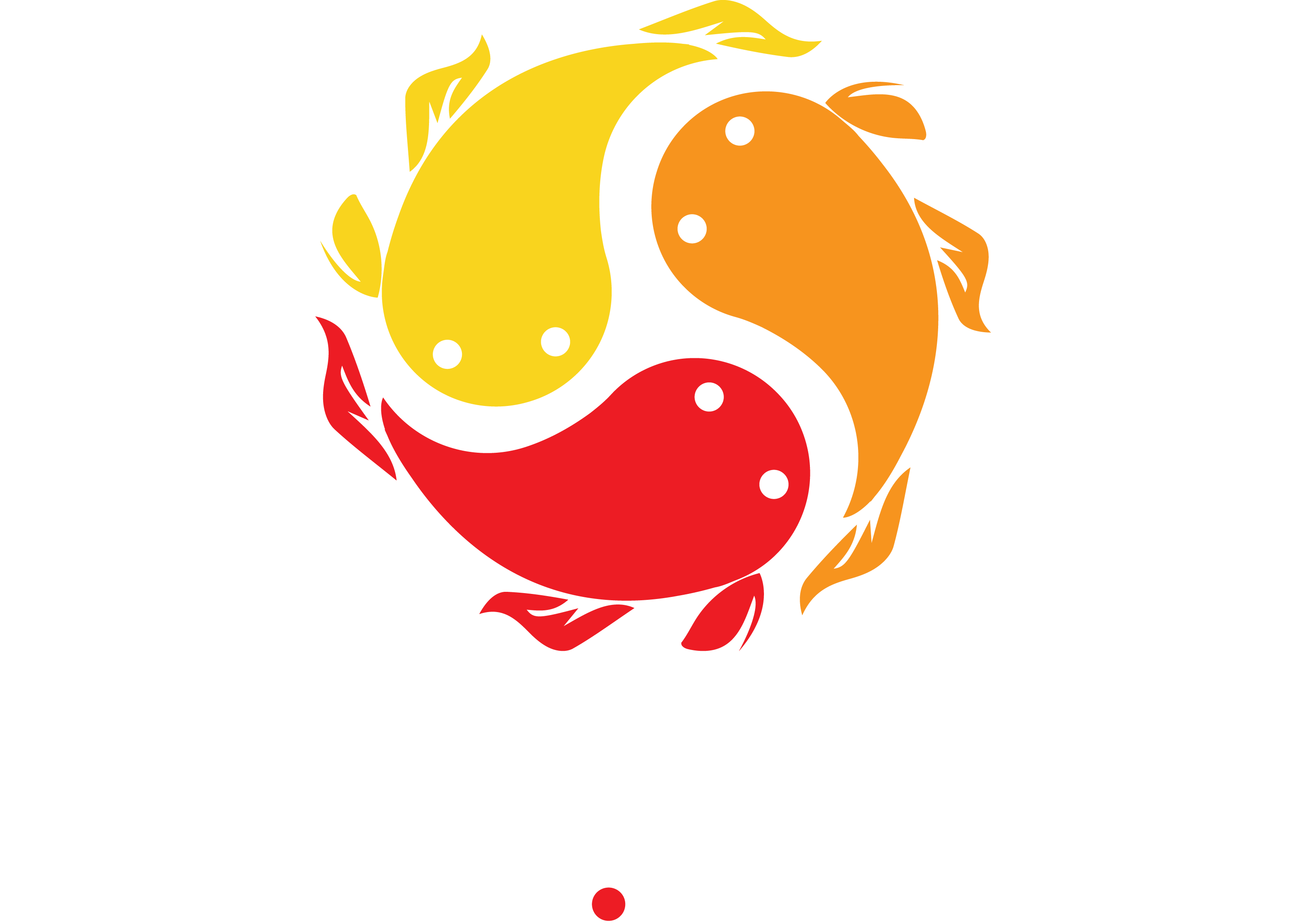 ronin.codes logo